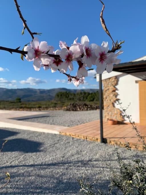 La Llobatera Casa Rural Les Coves de Vinroma Dış mekan fotoğraf